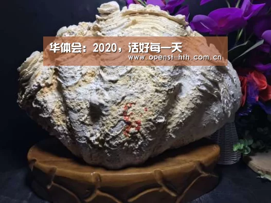 华体会:2020,活好每一天(图2) 华体会官网