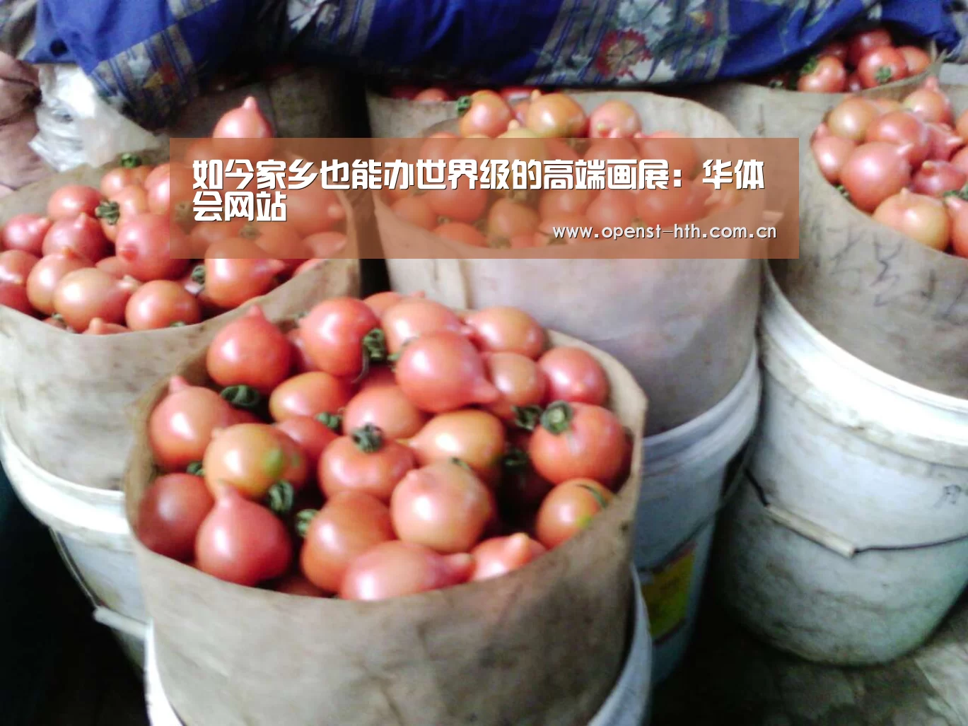 如今家乡也能办世界级的高端画展:华体会网站(图1) 华体会官方