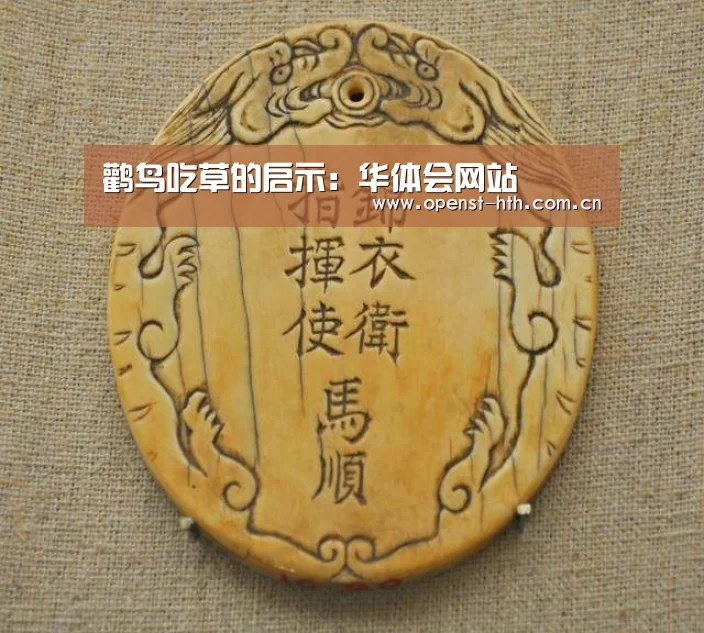 华体会官方