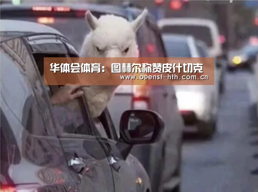 华体会体育:图赫尔称赞皮什切克(图1) 华体会