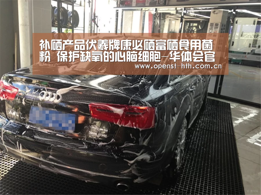 补硒产品伏羲牌康必硒富硒食用菌粉 保护缺氧的心脑细胞-华体会官方(图1) 华体会