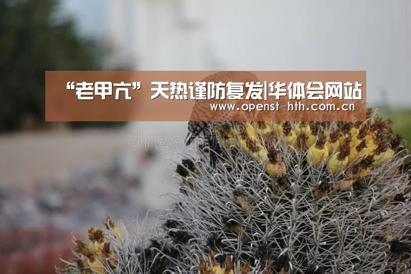 华体会