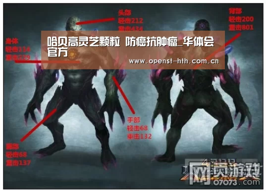 哈贝高灵芝颗粒 防癌抗肿瘤_华体会官方(图3) 华体会体育
